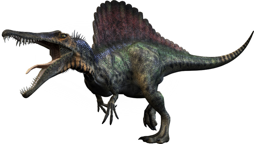 dinosauro-con-la-vela-lo-spinosauro-il-piu-grande-dinosauro-carnivoro-conosciuto