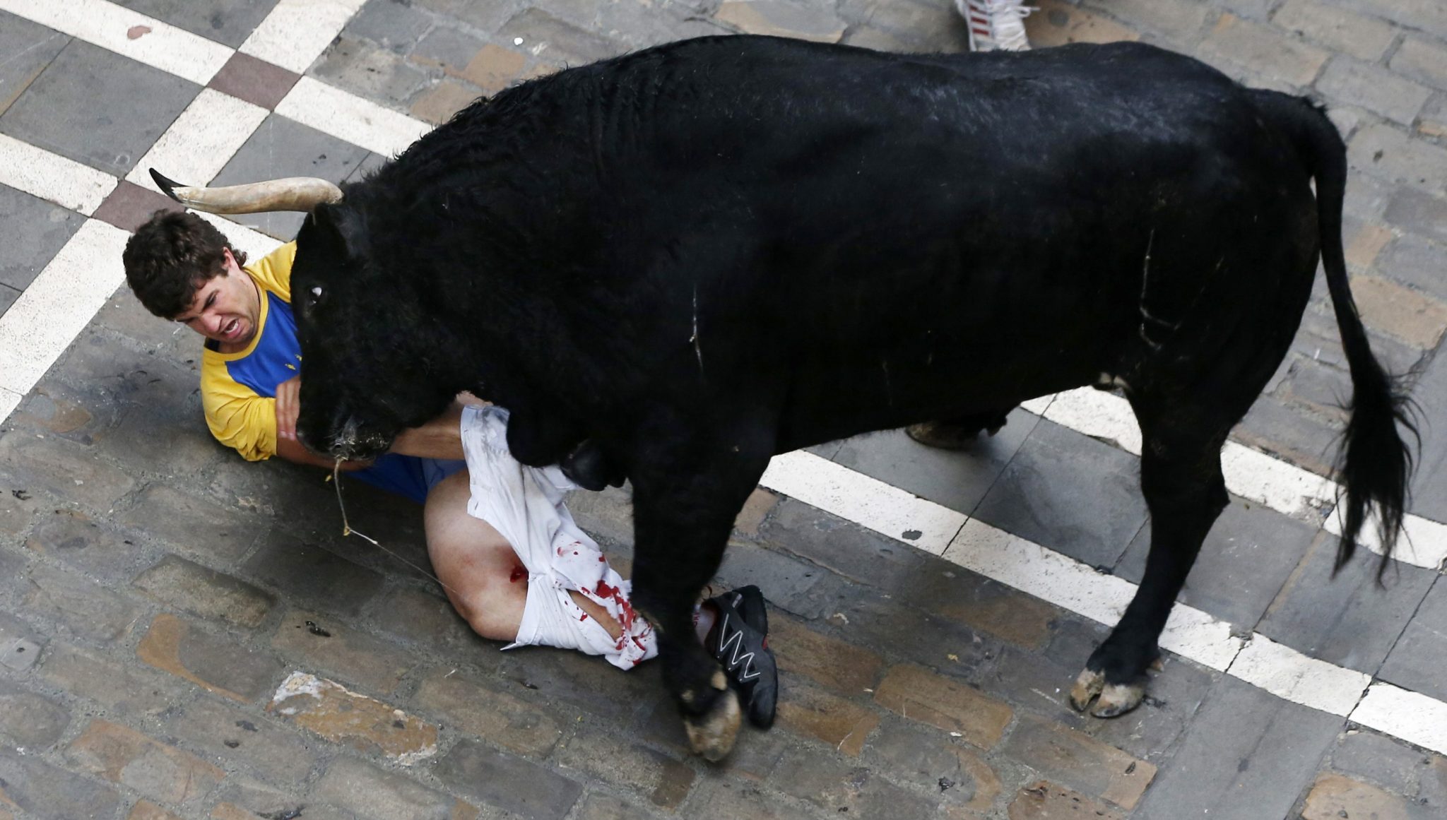 An El Pilar fighting bull charges at a runner after goring him on Estafeta street during the sixth running of the bulls of the San Fermin festival in Pamplona July 12, 2013. Four runners were gored in a run that lasted four minutes and fifty seven seconds, according to local media. The unidentified runner, a 31-year-old man from Castellon, Spain, was gored three times, according to local newspaper reports. REUTERS/Susana Vera (SPAIN - Tags: SOCIETY ANIMALS)