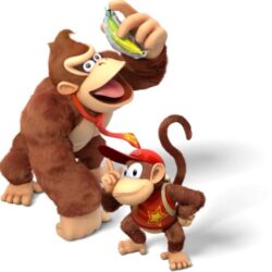 365px-donkey_kong_and_diddy_kong_-_donkey_kong_country_tropical_freeze
